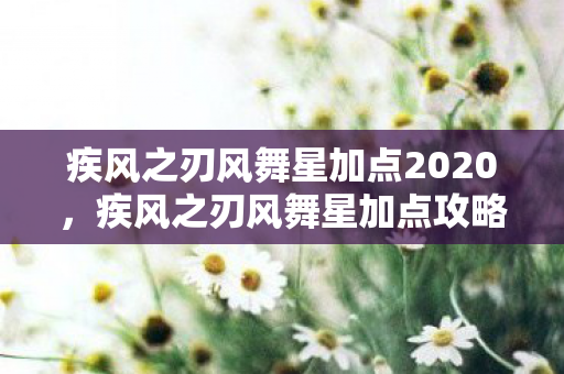 疾风之刃风舞星加点2020，疾风之刃风舞星加点攻略，打造高效战斗力的关键