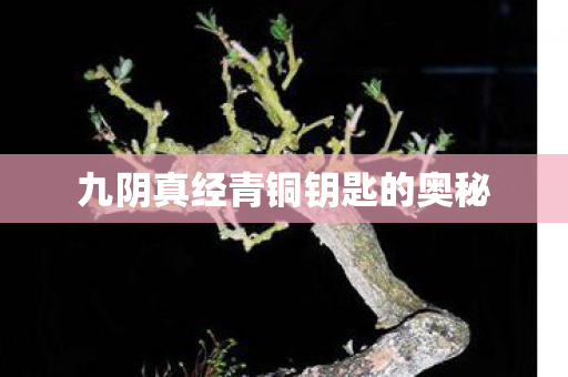 九阴真经青铜钥匙的奥秘