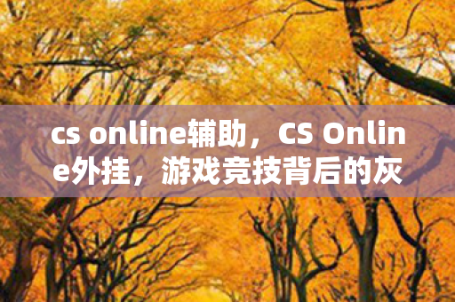 cs online辅助，CS Online外挂，游戏竞技背后的灰色阴影