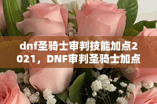 dnf圣骑士审判技能加点2021，DNF审判圣骑士加点攻略，打造高效战斗力的关键