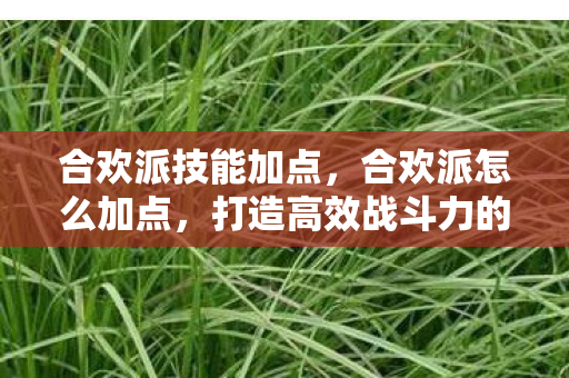 合欢派技能加点，合欢派怎么加点，打造高效战斗力的加点策略