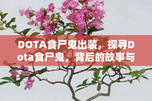 DOTA食尸鬼出装，探寻Dota食尸鬼，背后的故事与游戏策略