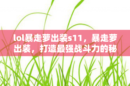 lol暴走萝出装s11，暴走萝出装，打造最强战斗力的秘密