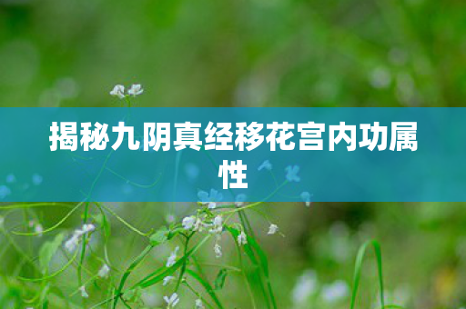 揭秘九阴真经移花宫内功属性