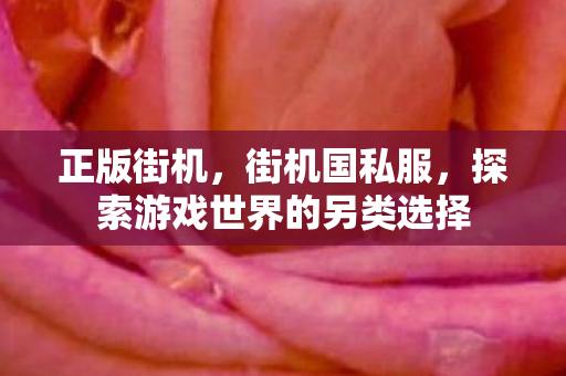 正版街机，街机国私服，探索游戏世界的另类选择