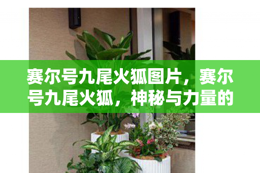 赛尔号九尾火狐图片，赛尔号九尾火狐，神秘与力量的化身