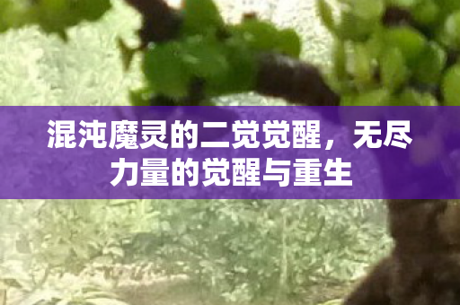 混沌魔灵的二觉觉醒，无尽力量的觉醒与重生
