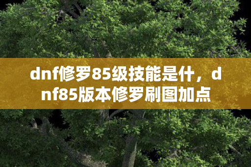 dnf修罗85级技能是什，dnf85版本修罗刷图加点