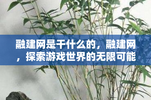 融建网是干什么的，融建网，探索游戏世界的无限可能