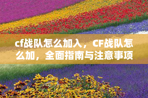 cf战队怎么加入，CF战队怎么加，全面指南与注意事项