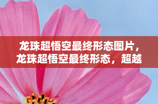 龙珠超悟空最终形态图片，龙珠超悟空最终形态，超越一切的力量