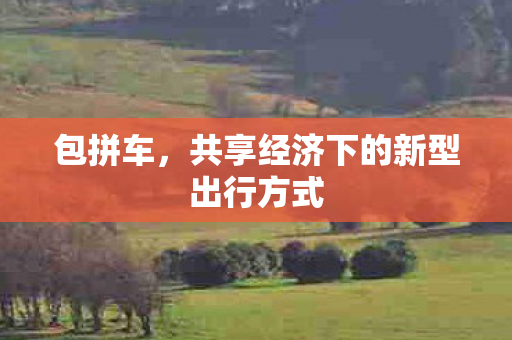 包拼车，共享经济下的新型出行方式
