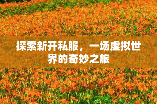 探索新开私服，一场虚拟世界的奇妙之旅