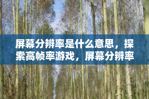 屏幕分辨率是什么意思，探索高帧率游戏，屏幕分辨率的重要性与提升策略