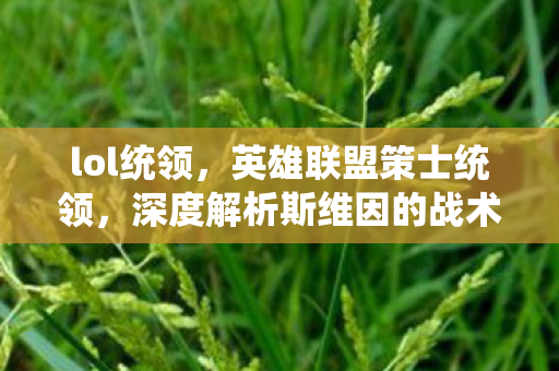 lol统领，英雄联盟策士统领，深度解析斯维因的战术智慧与游戏影响
