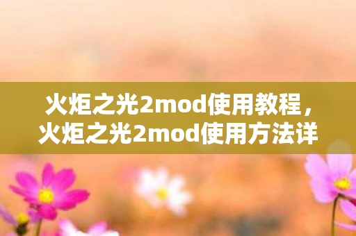火炬之光2mod使用教程，火炬之光2mod使用方法详解