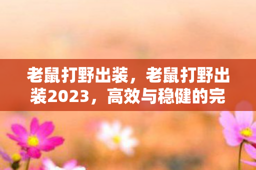 老鼠打野出装，老鼠打野出装2023，高效与稳健的完美结合