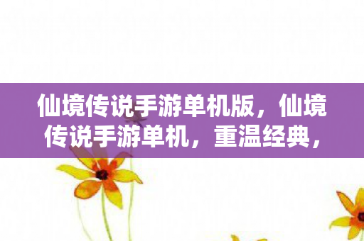仙境传说手游单机版，仙境传说手游单机，重温经典，自由探索的单机之旅