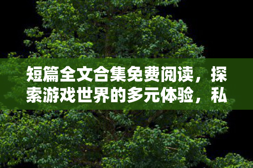 短篇全文合集免费阅读，探索游戏世界的多元体验，私服与官方服务器的独特魅力