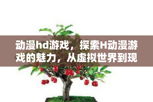 动漫hd游戏，探索H动漫游戏的魅力，从虚拟世界到现实生活的桥梁
