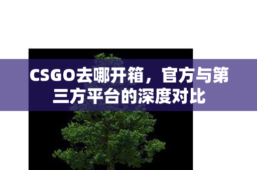 CSGO去哪开箱，官方与第三方平台的深度对比