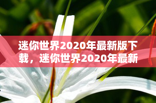 迷你世界2020年最新版下载，迷你世界2020年最新版，探索无限创意的迷你宇宙