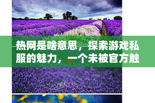 热网是啥意思，探索游戏私服的魅力，一个未被官方触及的平行世界