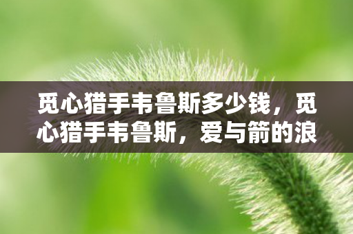 觅心猎手韦鲁斯多少钱，觅心猎手韦鲁斯，爱与箭的浪漫传说