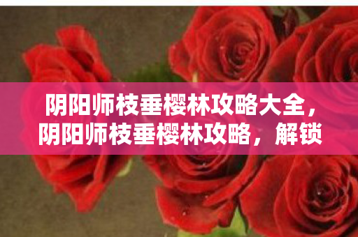 阴阳师枝垂樱林攻略大全，阴阳师枝垂樱林攻略，解锁神秘副本，提升战力与收集资源