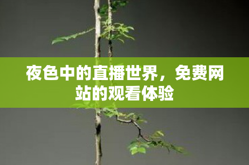 夜色中的直播世界，免费网站的观看体验