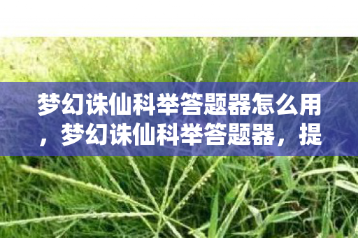 梦幻诛仙科举答题器怎么用，梦幻诛仙科举答题器，提升你的科举之路