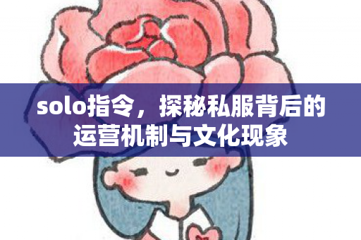 solo指令，探秘私服背后的运营机制与文化现象