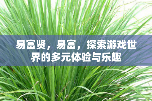 易富贤，易富，探索游戏世界的多元体验与乐趣