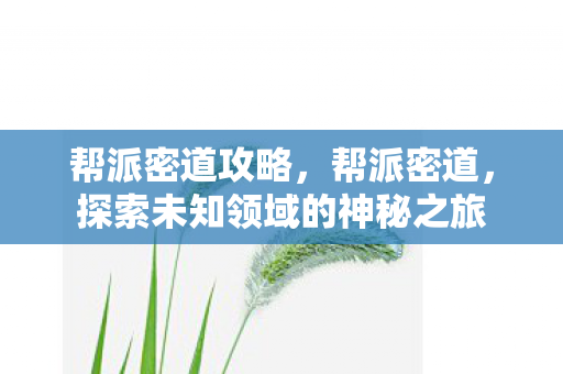 帮派密道攻略，帮派密道，探索未知领域的神秘之旅