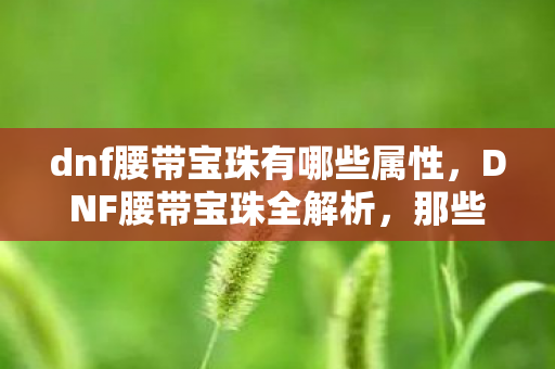 dnf腰带宝珠有哪些属性，DNF腰带宝珠全解析，那些令人惊艳的3字以上选择