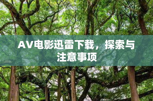AV电影迅雷下载，探索与注意事项