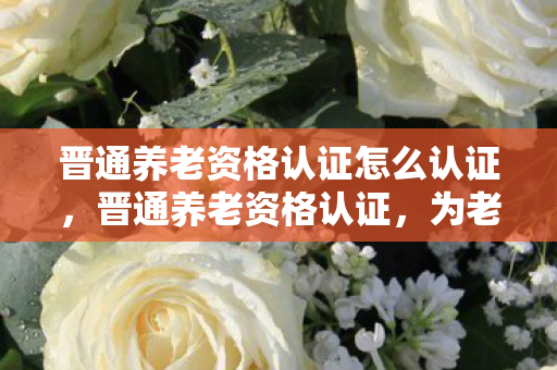 晋通养老资格认证怎么认证，晋通养老资格认证，为老年人保驾护航的智能化服务