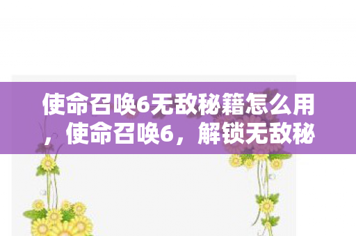 使命召唤6无敌秘籍怎么用，使命召唤6，解锁无敌秘籍，畅享游戏巅峰