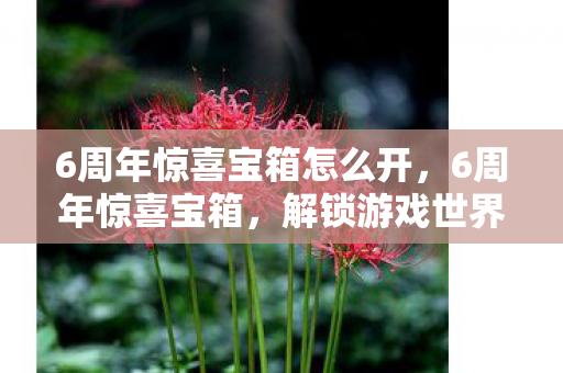6周年惊喜宝箱怎么开，6周年惊喜宝箱，解锁游戏世界的无限可能