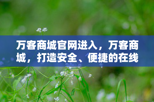 万客商城官网进入，万客商城，打造安全、便捷的在线购物新体验