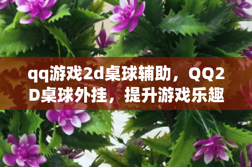 qq游戏2d桌球辅助，QQ2D桌球外挂，提升游戏乐趣的合法工具