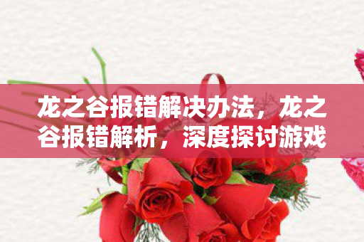龙之谷报错解决办法，龙之谷报错解析，深度探讨游戏内常见错误及解决方案