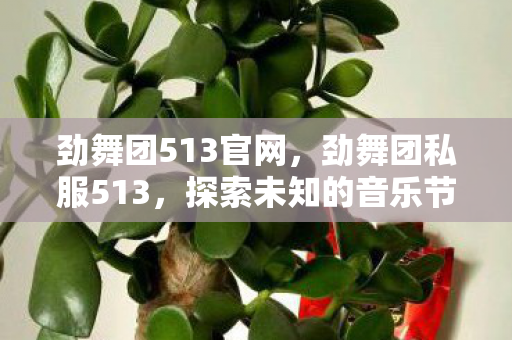 劲舞团513官网，劲舞团私服513，探索未知的音乐节奏之旅