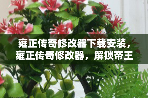 雍正传奇修改器下载安装，雍正传奇修改器，解锁帝王的传奇之路