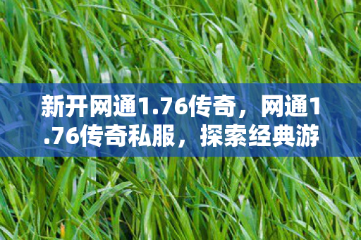 新开网通1.76传奇，网通1.76传奇私服，探索经典游戏的独特魅力