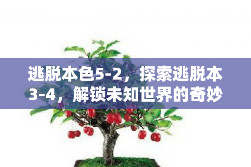 逃脱本色5-2，探索逃脱本3-4，解锁未知世界的奇妙之旅