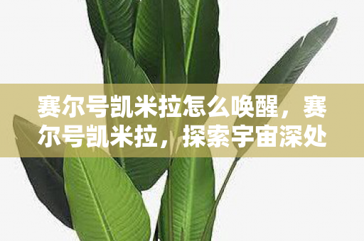 赛尔号凯米拉怎么唤醒，赛尔号凯米拉，探索宇宙深处的神秘之旅