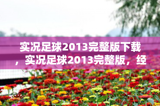 实况足球2013完整版下载，实况足球2013完整版，经典再现，情怀与技术的完美融合