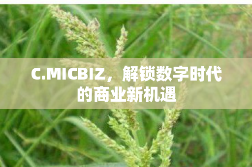 C.MICBIZ，解锁数字时代的商业新机遇