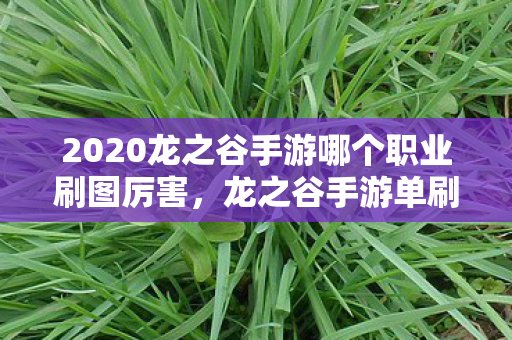 2020龙之谷手游哪个职业刷图厉害，龙之谷手游单刷职业，独步战场的勇者